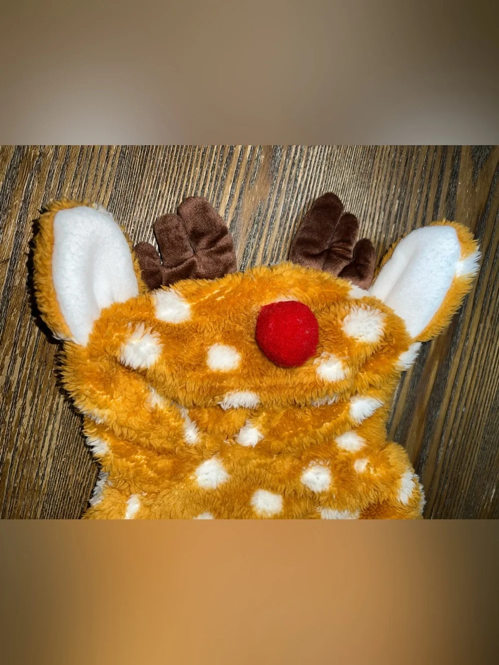 Rudolph the Reindeer Pet Costume - L - Worn Once